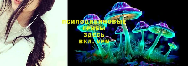 спайс Богородицк